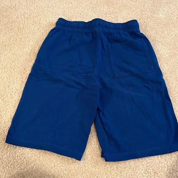 GYMBOREE SIZE LARGE BLUE SHORTS - Picture 5 of 7